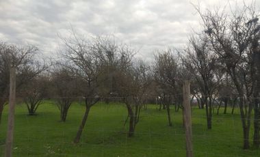 Parcela de agrado, San Rafael, Talca