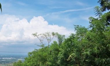 Tanah disewakan di Puwodadi, Pasuruan, Jawa Timur