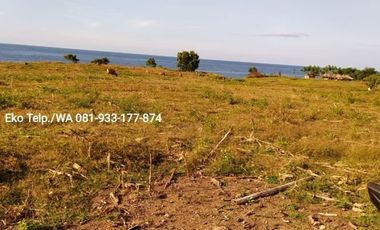 Dijual Cepat Tanah Tambak 30 hektar Lombok Timur