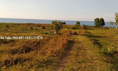 Dijual Cepat Tanah Tambak 30 hektar Lombok Timur