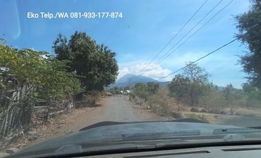 Dijual Cepat Tanah Tambak 30 hektar Lombok Timur