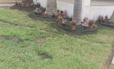 CASA EN VENTA / RENTA  REYNOSA