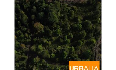 Gran oportunidad!! Parcela de 5.000M2 entre Puerto Varas y Puerto Montt!!!
