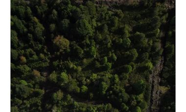Gran oportunidad!! Parcela de 5.000M2 entre Puerto Varas y Puerto Montt!!!