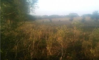 Venta de finca,pantano tierra bonita,Córdoba.