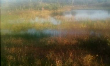 Venta de finca,pantano tierra bonita,Córdoba.