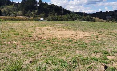 Venta Lote Industrial en Guarne para Bodega en Parque Industrial