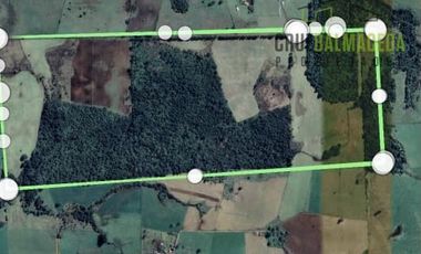 Agrícola en Venta en Camino a Río Frío, 110 Hectáreas