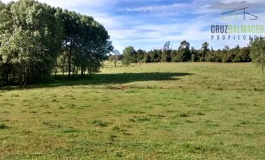 Agrícola en Venta en Camino a Río Frío, 110 Hectáreas