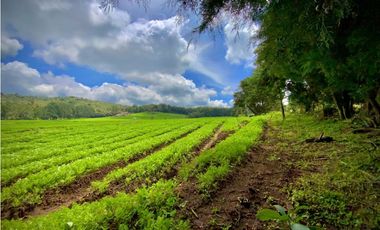Venta Casa Lote Variante Aeropuerto Envigado