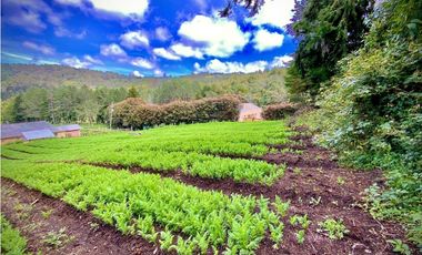 Venta Casa Lote Variante Aeropuerto Envigado