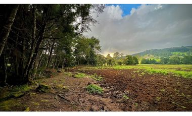 Venta Casa Lote Variante Aeropuerto Envigado