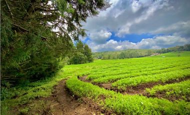 Venta Casa Lote Variante Aeropuerto Envigado