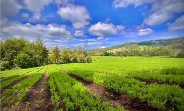 Venta Casa Lote Variante Aeropuerto Envigado