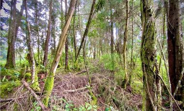 Venta Casa Lote Variante Aeropuerto Envigado