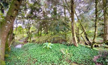 Venta Casa Lote Variante Aeropuerto Envigado