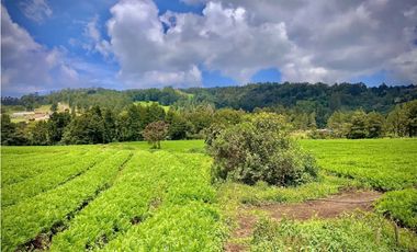Venta Casa Lote Variante Aeropuerto Envigado