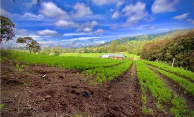 Venta Casa Lote Variante Aeropuerto Envigado