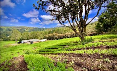 Venta Casa Lote Variante Aeropuerto Envigado
