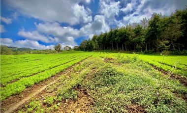 Venta Casa Lote Variante Aeropuerto Envigado