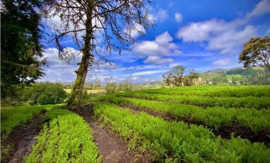 Venta Casa Lote Variante Aeropuerto Envigado
