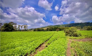 Venta Casa Lote Variante Aeropuerto Envigado