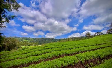 Venta Casa Lote Variante Aeropuerto Envigado