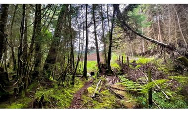 Venta Casa Lote Variante Aeropuerto Envigado