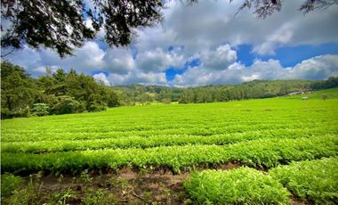 Venta Casa Lote Variante Aeropuerto Envigado