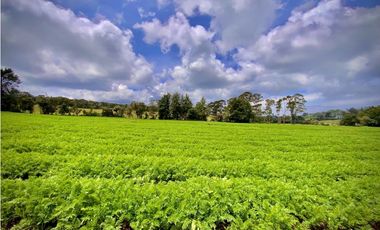 Venta Casa Lote Variante Aeropuerto Envigado