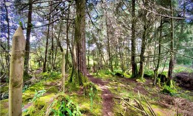 Venta Casa Lote Variante Aeropuerto Envigado