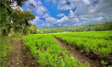 Venta Casa Lote Variante Aeropuerto Envigado