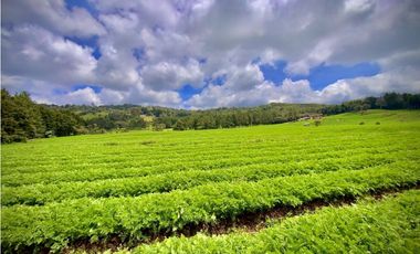 Venta Casa Lote Variante Aeropuerto Envigado