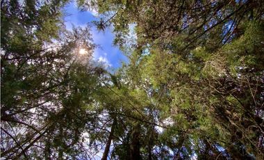 Venta Casa Lote Variante Aeropuerto Envigado