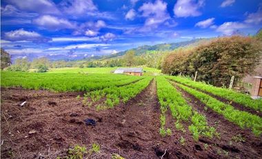 Venta Casa Lote Variante Aeropuerto Envigado