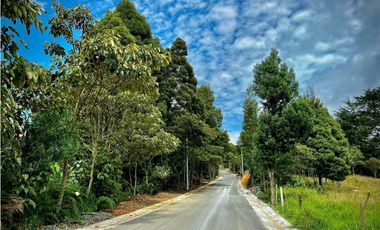 Venta Casa Lote Variante Aeropuerto Envigado