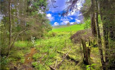 Venta Casa Lote Variante Aeropuerto Envigado