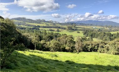 Venta Casa Lote Variante Aeropuerto Envigado