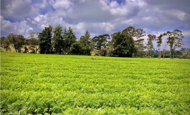 Venta Casa Lote Variante Aeropuerto Envigado