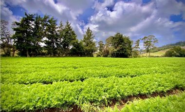 Venta Casa Lote Variante Aeropuerto Envigado
