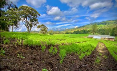 Venta Casa Lote Variante Aeropuerto Envigado