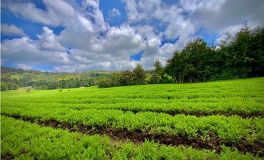 Venta Casa Lote Variante Aeropuerto Envigado