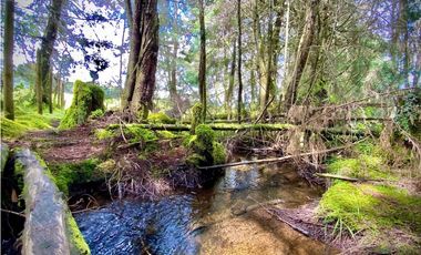 Venta Casa Lote Variante Aeropuerto Envigado