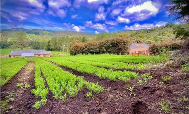 Venta Casa Lote Variante Aeropuerto Envigado