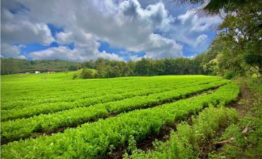 Venta Casa Lote Variante Aeropuerto Envigado