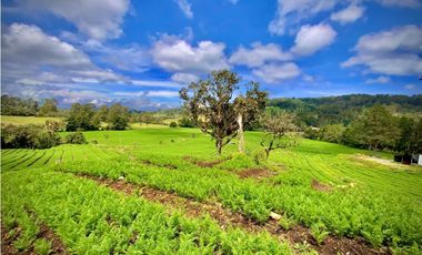 Venta Casa Lote Variante Aeropuerto Envigado