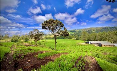 Venta Casa Lote Variante Aeropuerto Envigado
