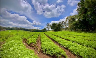 Venta Casa Lote Variante Aeropuerto Envigado