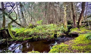 Venta Casa Lote Variante Aeropuerto Envigado