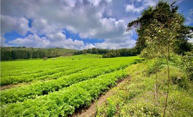 Venta Casa Lote Variante Aeropuerto Envigado